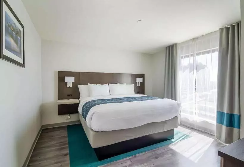 ホテル Comfort Inn & Suites Gulf Shores East Beach Near Gulf State Park