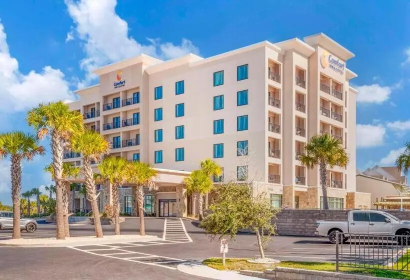 ホテル Comfort Inn & Suites Gulf Shores East Beach Near Gulf State Park