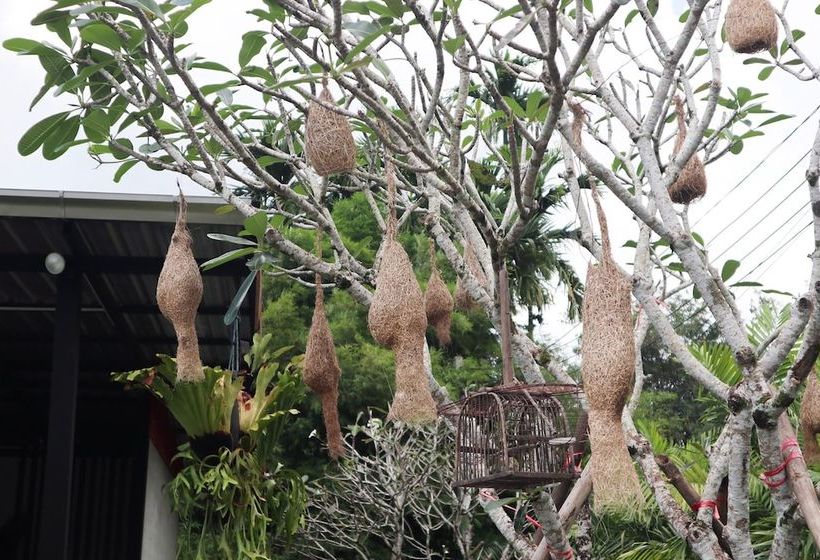 酒店 Pee Mamia Cottage