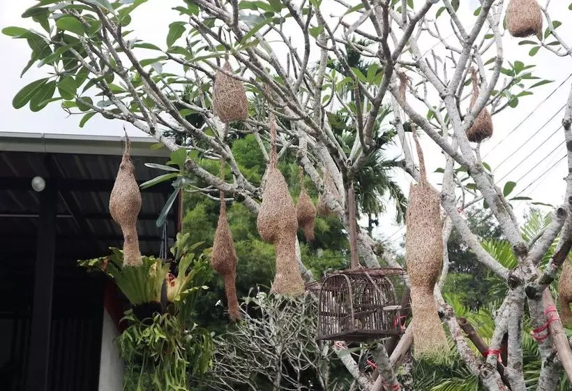 ホテル Pee Mamia Cottage