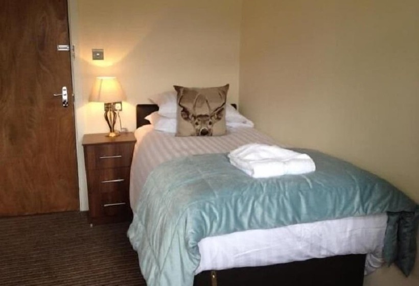 فندق The New Brighton