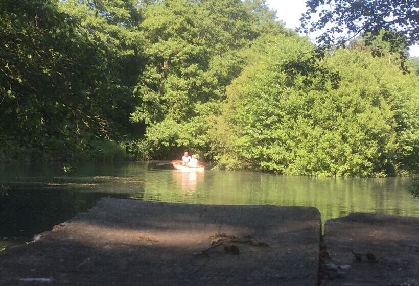 Bed and Breakfast Oxbridge Farm