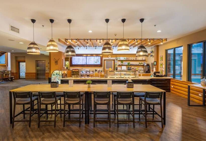 Grand Bear Resort At Starved Rock