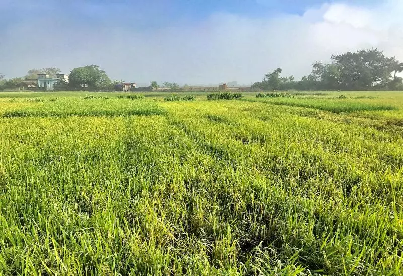 هتل May Homestay Ninh Binh