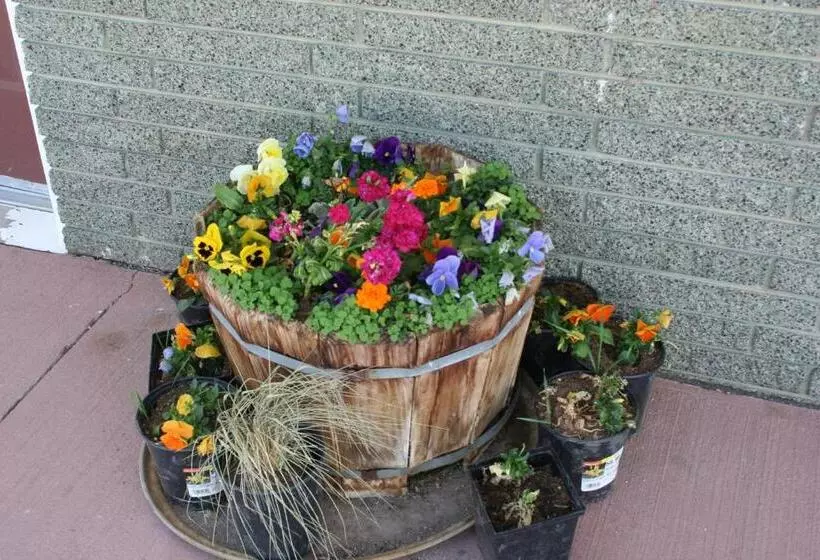 Motelli Bryce Zion Inn