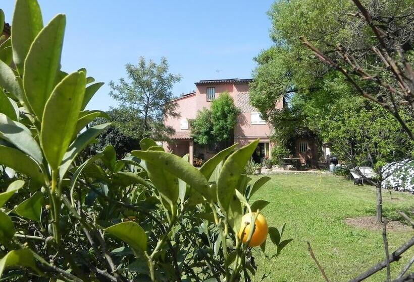 פנסיון B&b Le Clos Des Vignes Saint Raphael
