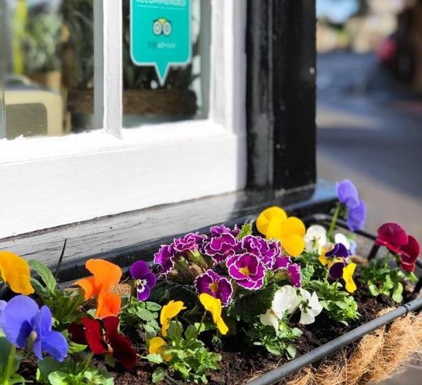 민박 The Kings Head