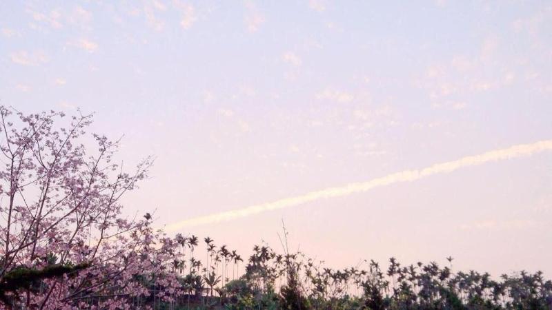 تختخواب و صبحانه 溪頭老爺山莊xitou Royal Villa