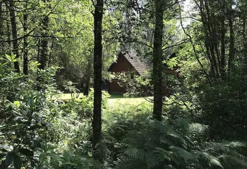 Hotelli Burnbank Lodges