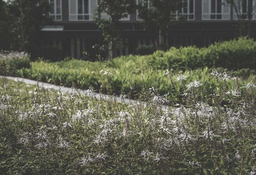 酒店 Parco Khaoyai By Bonanza