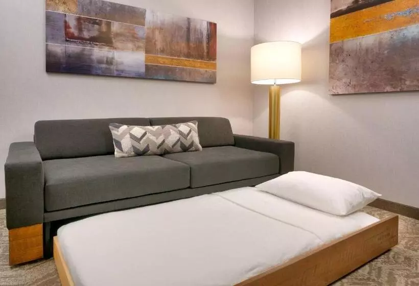 هتل Springhill Suites By Marriott Colorado Springs North/air Force Academy