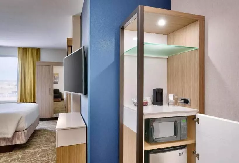 هتل Springhill Suites By Marriott Colorado Springs North/air Force Academy