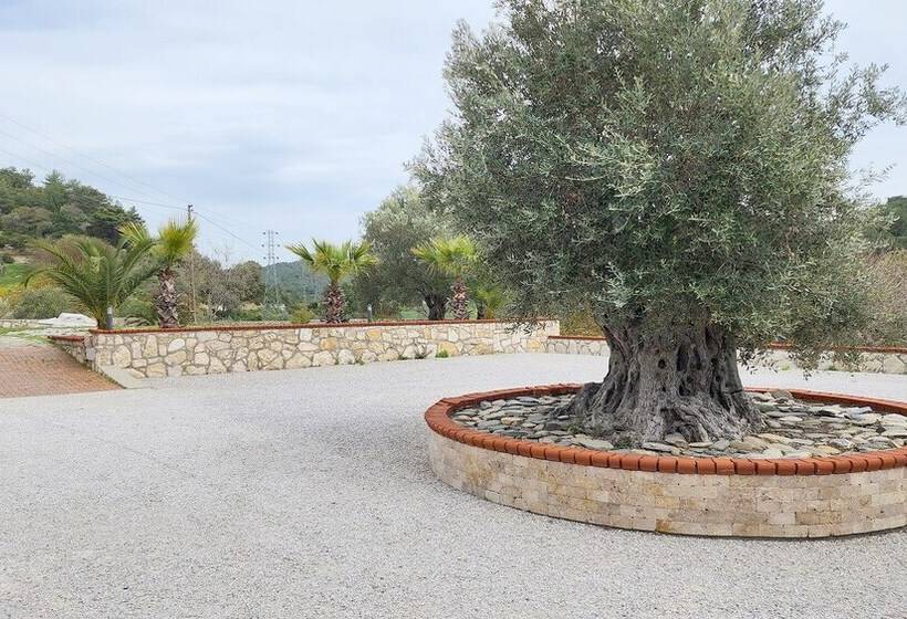 Otel Naturla Göl Evi