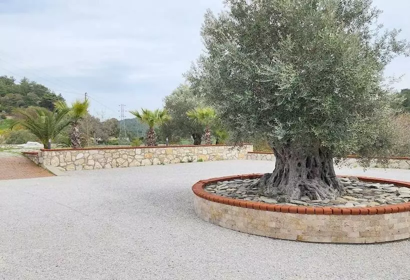 Otel Naturla Göl Evi