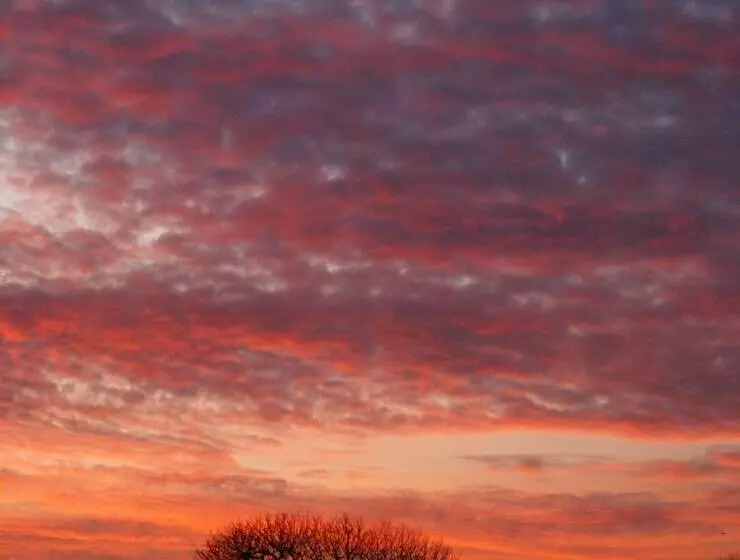 Aldersyde Bed And Breakfast