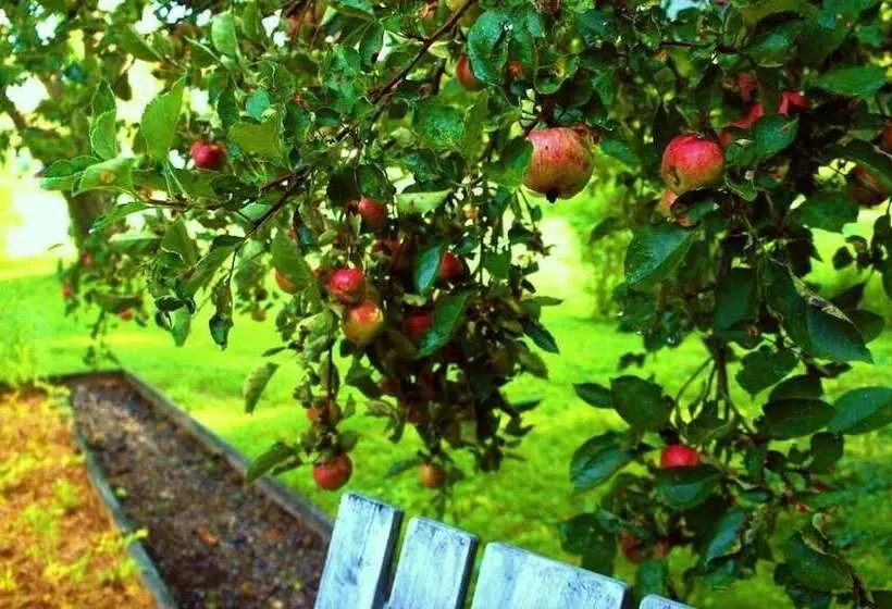 ベッドアンドブレックファースト Carriage Barn Inn