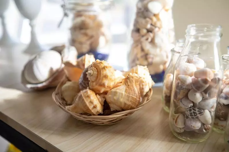 تختخواب و صبحانه Starrysky Family