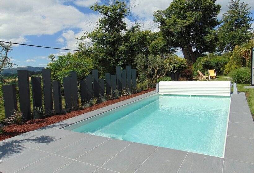 Bed and Breakfast Maison D Hotes Les Palmiers