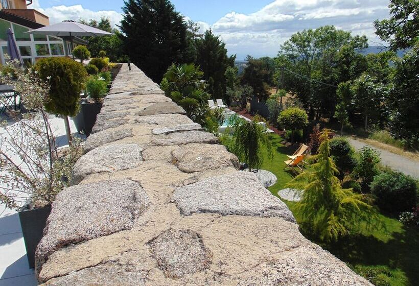 Bed and Breakfast Maison D Hotes Les Palmiers