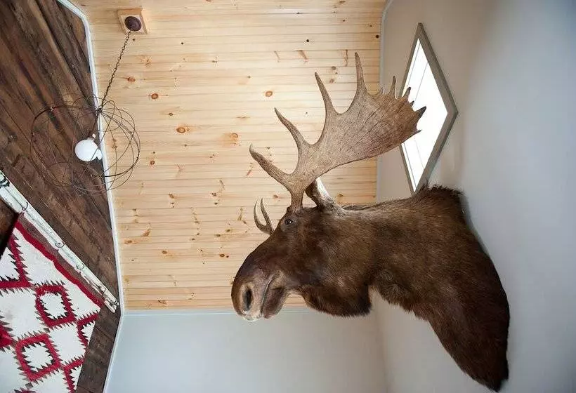 Hostelli Mad River Barn