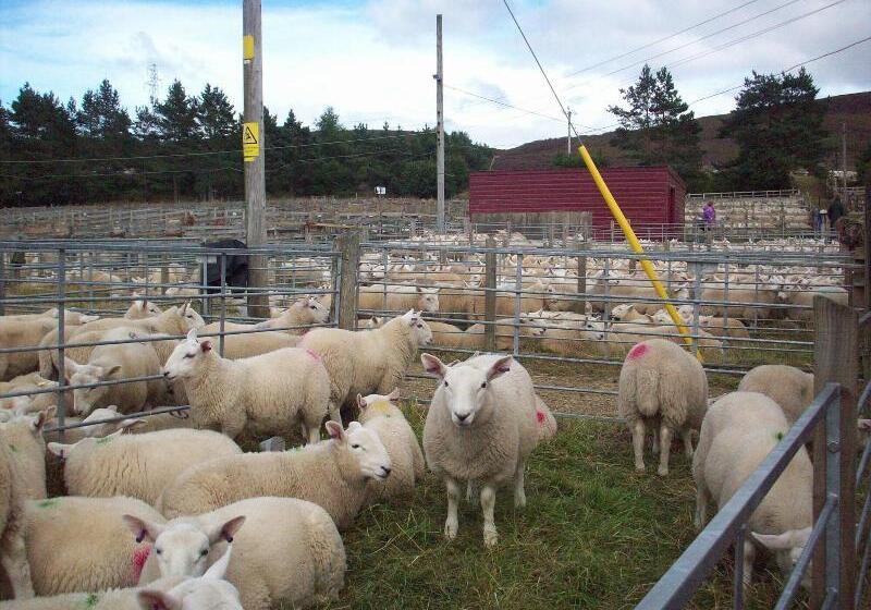 酒店 Lairg Highland