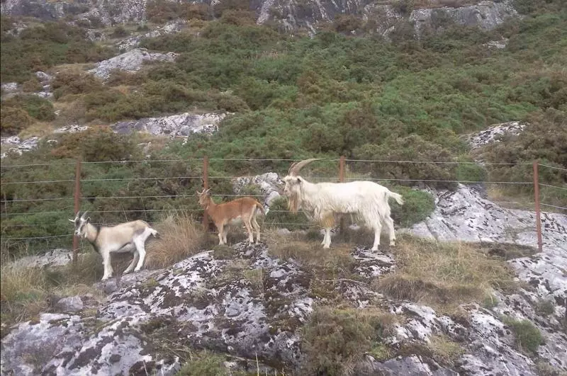 Hotelli Lairg Highland