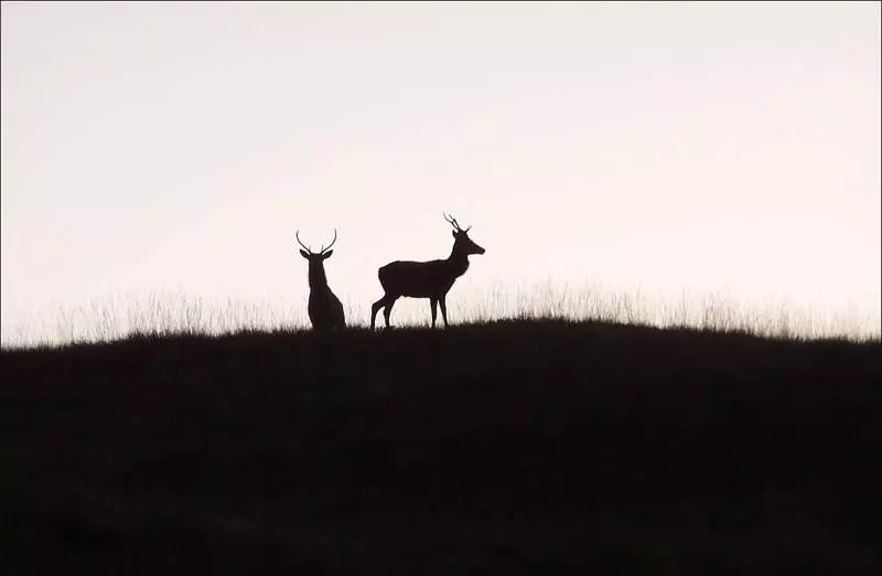 Hotelli Lairg Highland