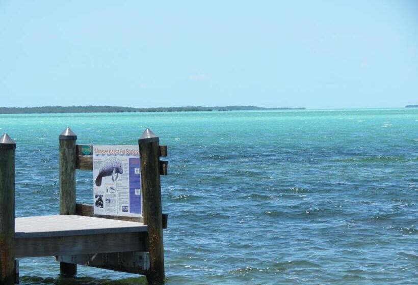 Panzió Coconut Bay Resort   Key Largo