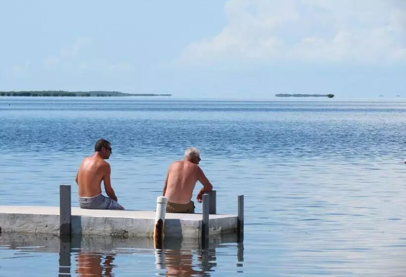 پانسیون Coconut Bay Resort   Key Largo