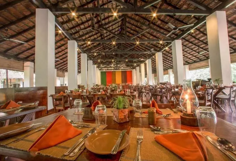 酒店 Sigiriya Village