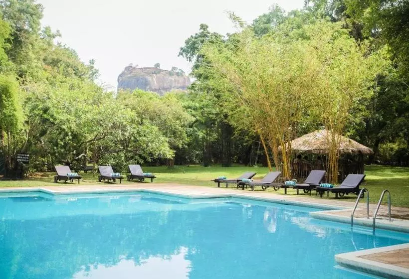 酒店 Sigiriya Village