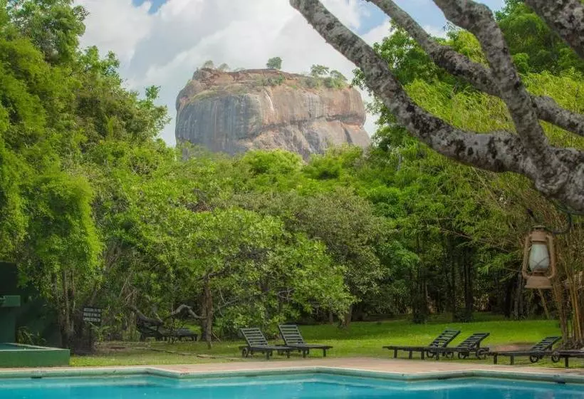 酒店 Sigiriya Village
