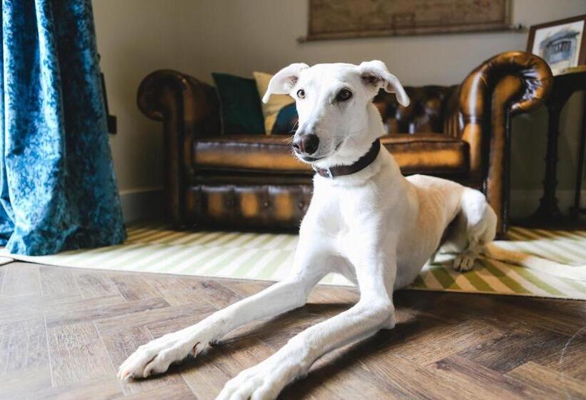 فندق فئة نجمة واحدة Beck Hall