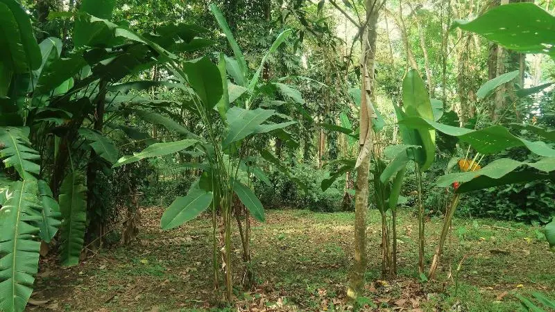 ホテル Casa Moabi