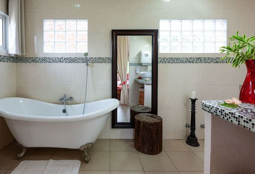 Oceane L'union Villa