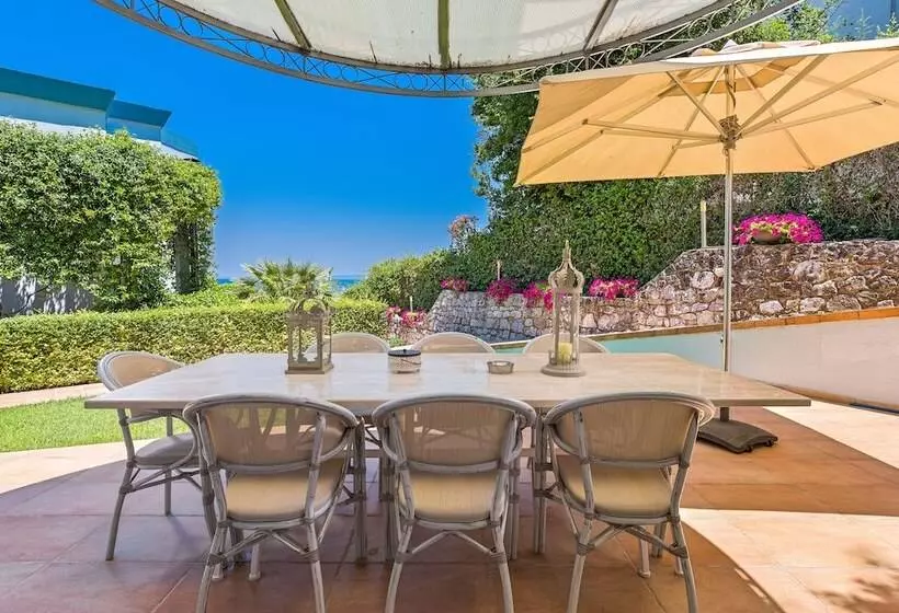 Aegean Residence   F & B Summer Collection