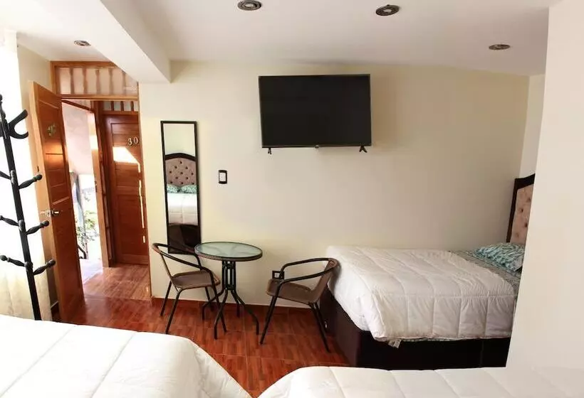 Apart Las Margaritas