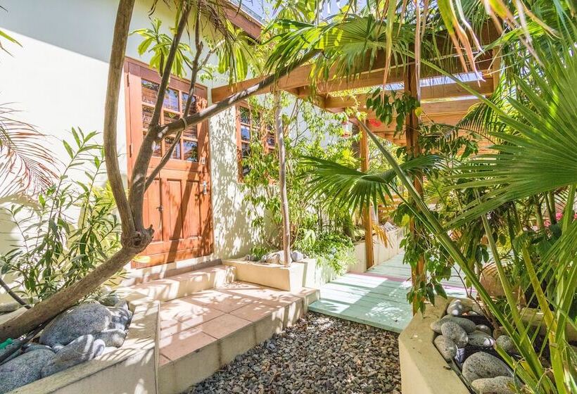 Little Jungle Apartments Aruba