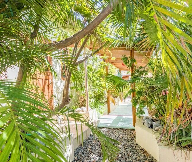 Little Jungle Apartments Aruba