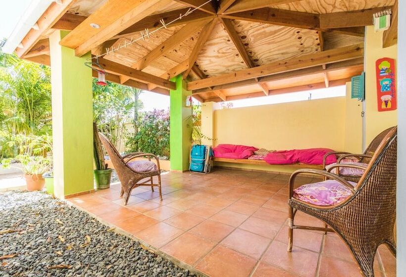 Little Jungle Apartments Aruba