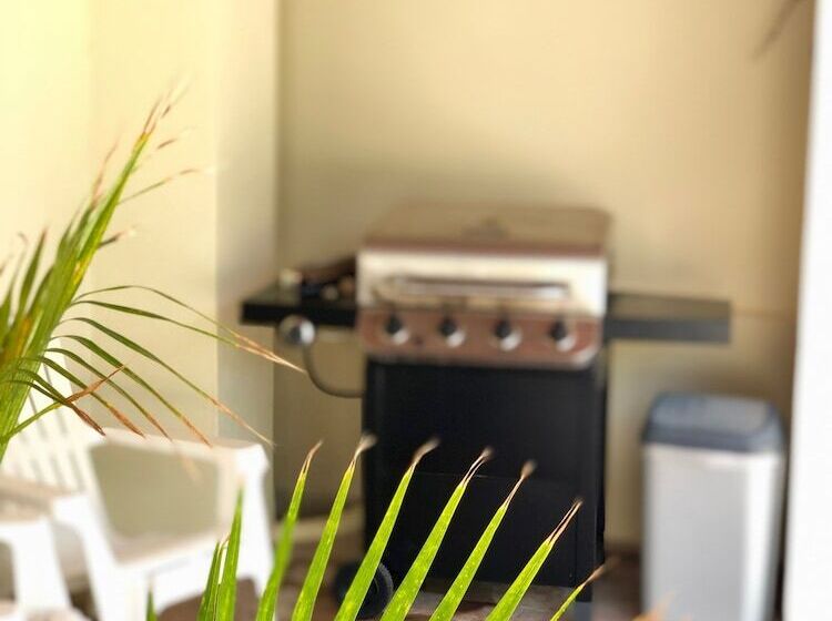 Little Jungle Apartments Aruba