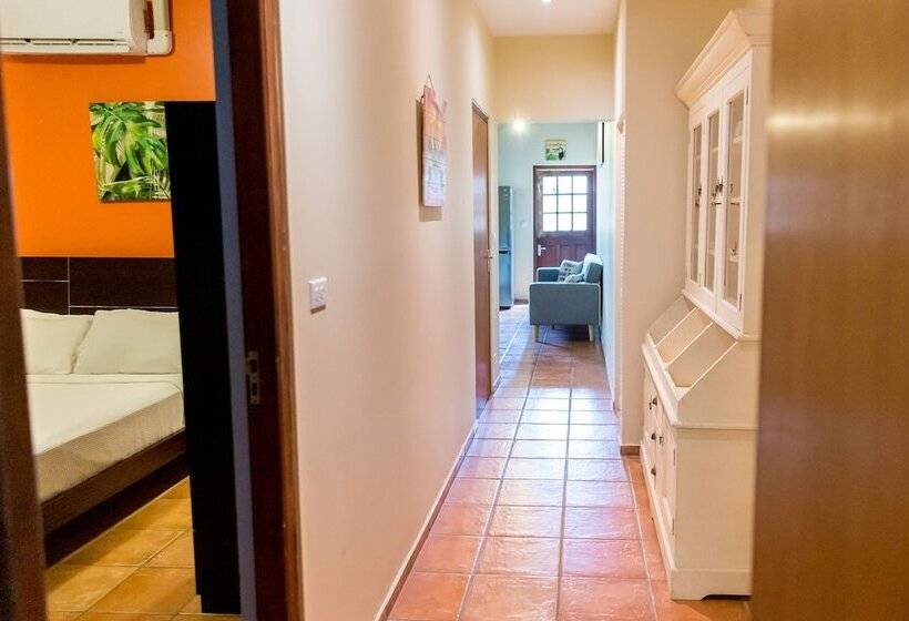 Little Jungle Apartments Aruba