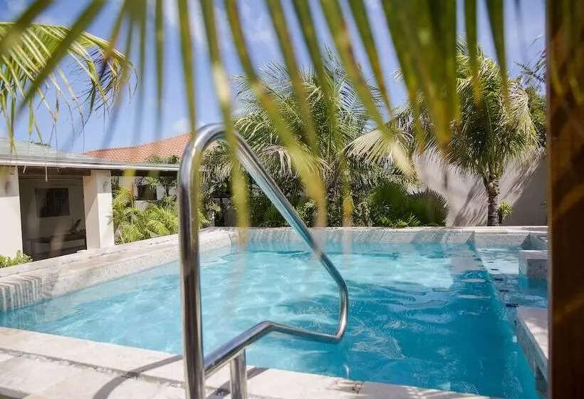 Little Jungle Apartments Aruba