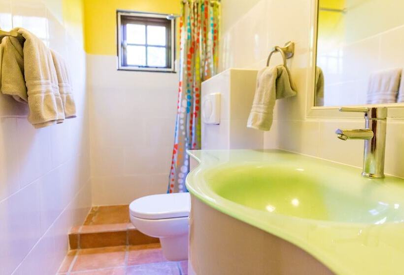 Little Jungle Apartments Aruba