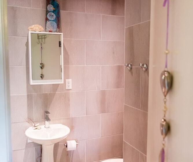 Little Jungle Apartments Aruba