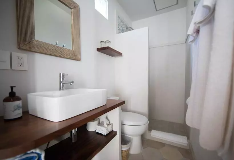 Pal.mar Hotel Tropical