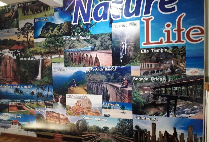 Pensão Ella Nature Life Guest & Resturant