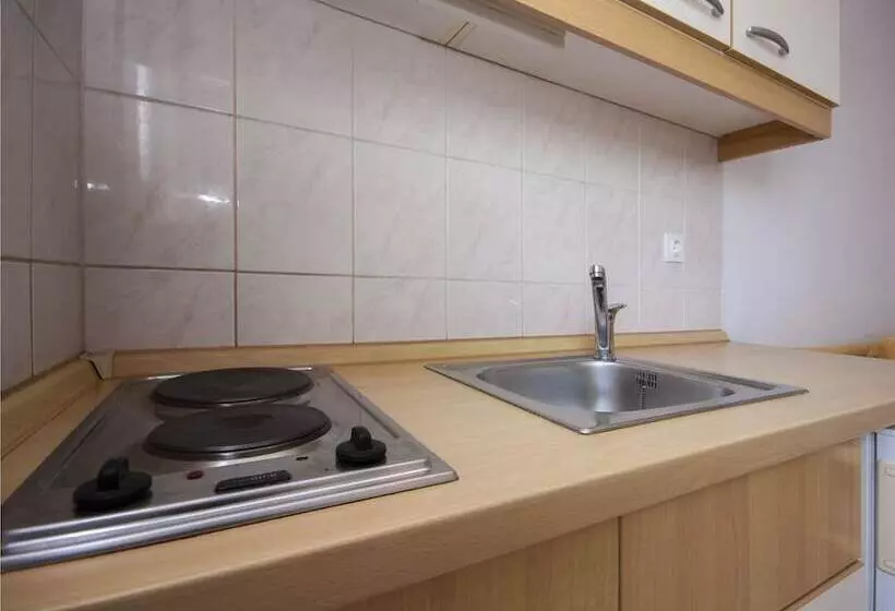 Apartment Vinko