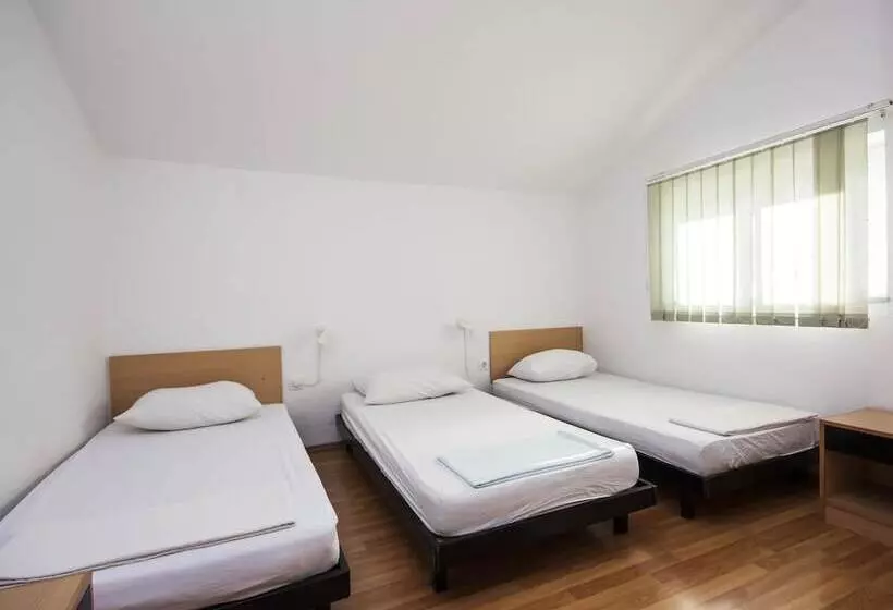 Apartment Vinko