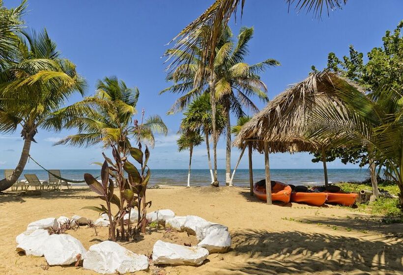 Belize Beach Condos
